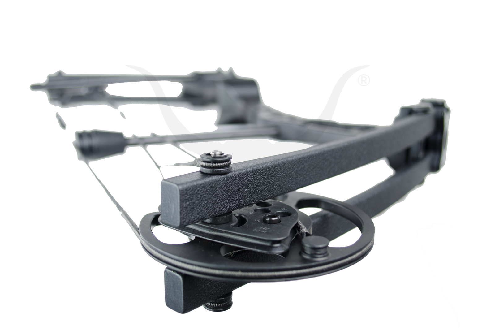 BLIZZARD 5 55 LBS STARTER Compound Bow Kit Archery Bow Hunting eBay