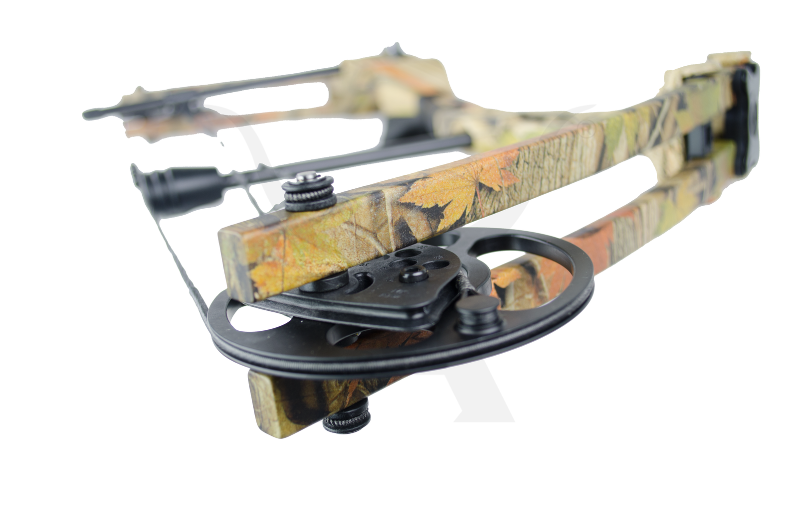 BLIZZARD 5 55 LBS STARTER Compound Bow Kit Archery Bow Hunting eBay