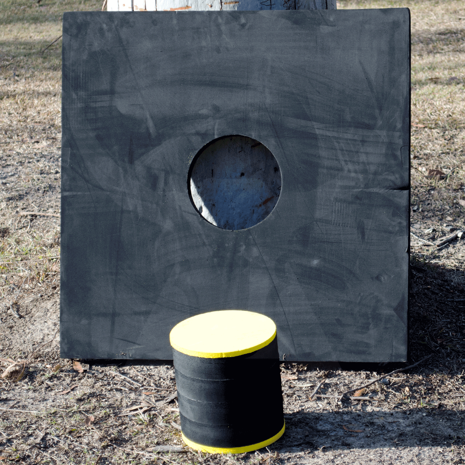 EXTRA LARGE HIGH DENSITY FOAM TARGET WITH EXCHANGEABLE CORE APEX HUNTING