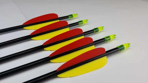 Pack of 12 Fiberglass Archery Target Practice Arrows 26 28 30 Inch for Shooting with Recurve Bows 