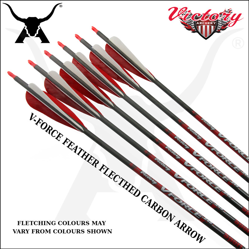 6PK  Archery 30/" Carbon Shaft Arrows Turkey Feather Longbow Recurve Bow Hunting