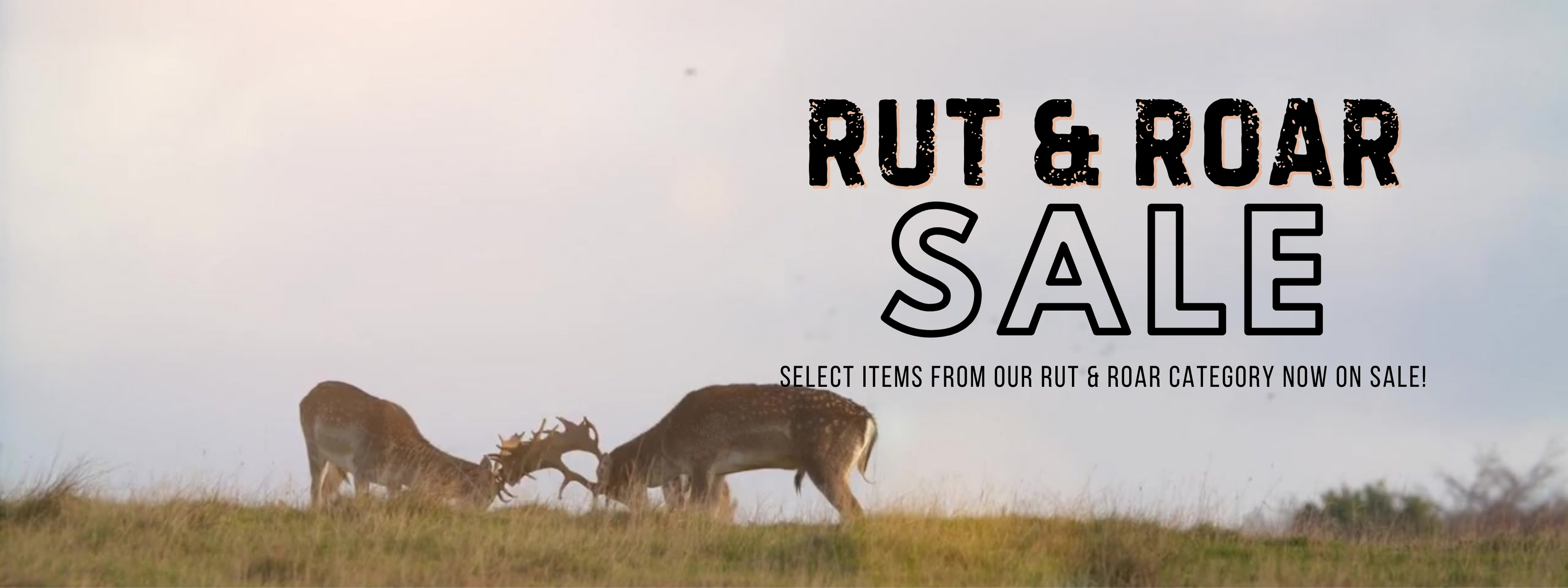 Rut Sale Desktop