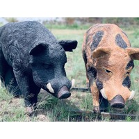 Wildcrete Australian Feral Boar 3D Archery Target - Old