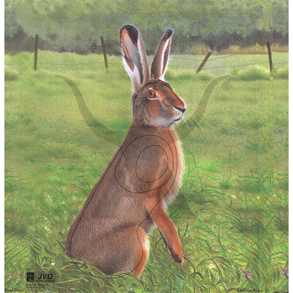 Hare Animal Face Target 10 Pack