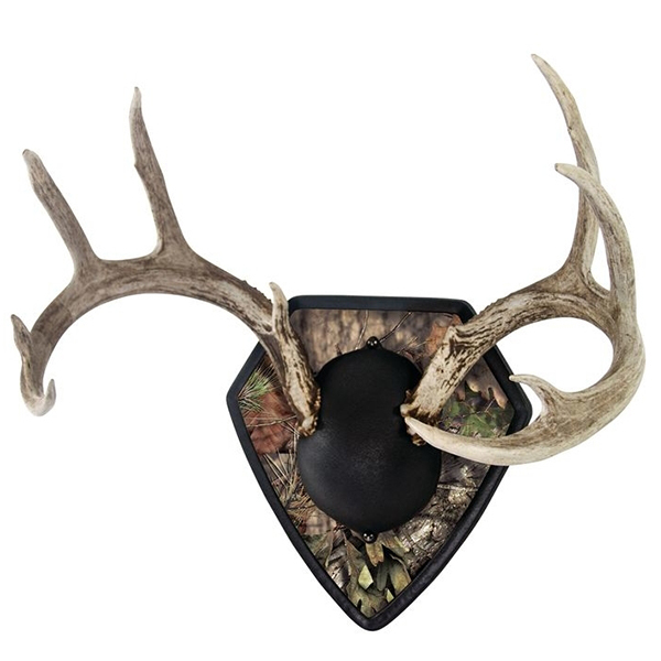 Allen Big Buck Trophy Mount Kit Camo trophy mount for deer antlers